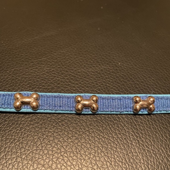 XS Stylish Blue Dog Collar with Bone Accents - Picture 2 of 2